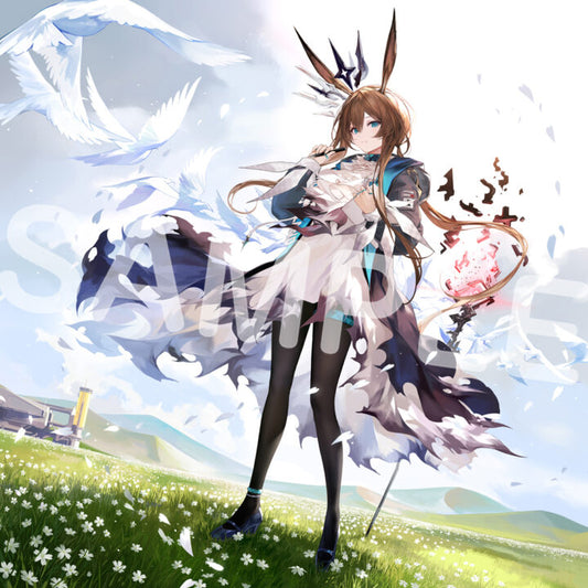 Arknights 6th Anniversary Commemorative Vinyl Record Zanmu Kiseki (Limited Edition)