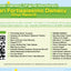 Katamari Damacy Original Soundtrack: Katamari Fortississimo Damacy