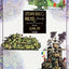 Hayao Miyazaki's Thought Notes (Art Book)