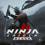 Ninja Gaiden 2 Black (2XLP)