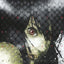 Ghost in the Shell S.A.C Solid State Society O.S.T. (2XLP)