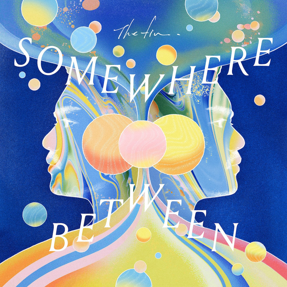 The fin. Somewhere Between (Vinyl and CD Edition)