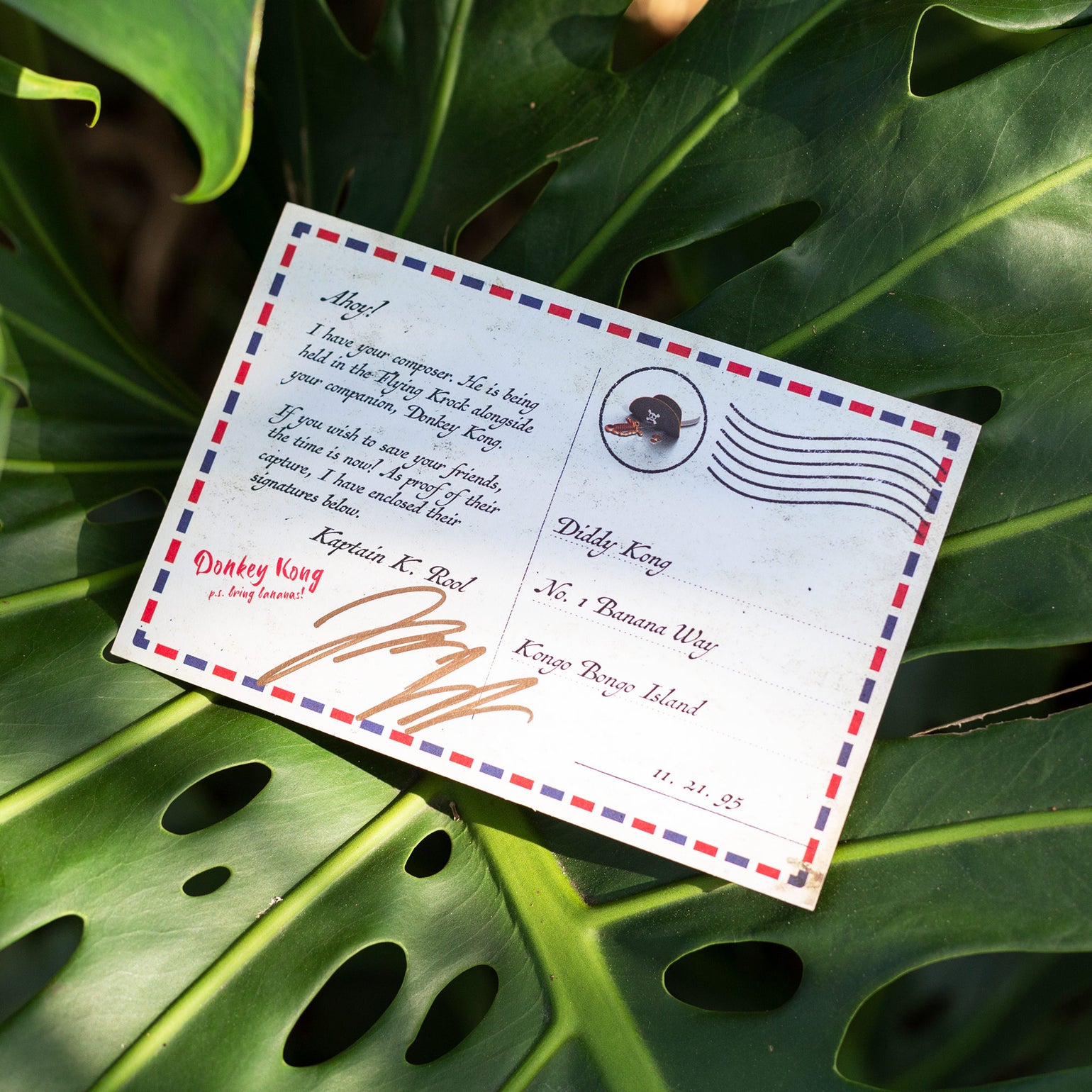 Banana Jamz 2 (Music from Donkey Kong Country 2) Cartridge Thunder